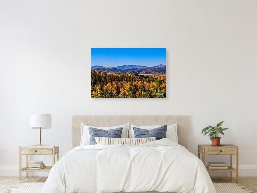 erinmdorffette's tweet photo. Amazing fall colors captured at their peak, ready to brighten your home with wall art, pillows, totes and more!

Shop now → https://t.co/Vfbu4UzMNx

#FallColors #Autumn #LeafPeeping #WallArt #HomeDecor #Pillows #ToteBags https://t.co/8ROWj2qBvF