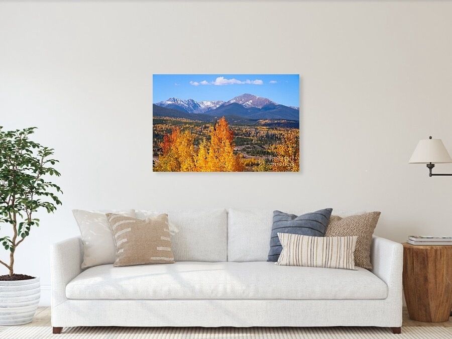 erinmdorffette's tweet photo. Amazing fall colors captured at their peak, ready to brighten your home with wall art, pillows, totes and more!

Shop now → https://t.co/Vfbu4UzMNx

#FallColors #Autumn #LeafPeeping #WallArt #HomeDecor #Pillows #ToteBags https://t.co/8ROWj2qBvF