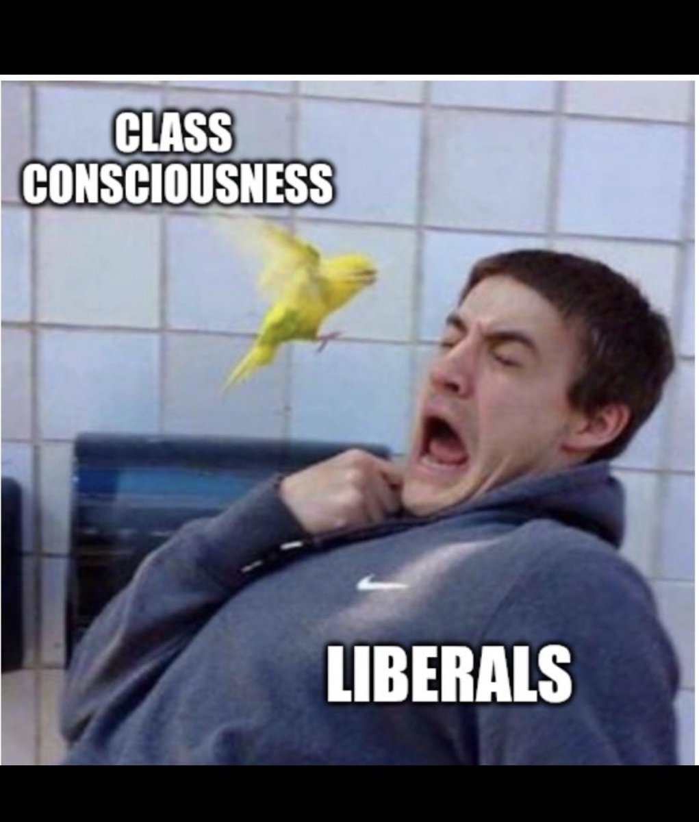 mcsquared34's tweet photo. https://t.co/uYzJICZ1FI