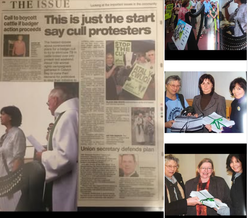 AmeleaTeckel's tweet photo. #badgermonday🦡
Plaid Cymru, Reform & Tories: a govt for animal abusers if they go ahead with mass killing Wales's badgers!
"I’ll put myself between your willing killers & their victims here if I have to! Not a threat, a promise!" says a protester.
Remember 2012‼️ #stopthecull🏴 https://t.co/EyLtIrRbl1