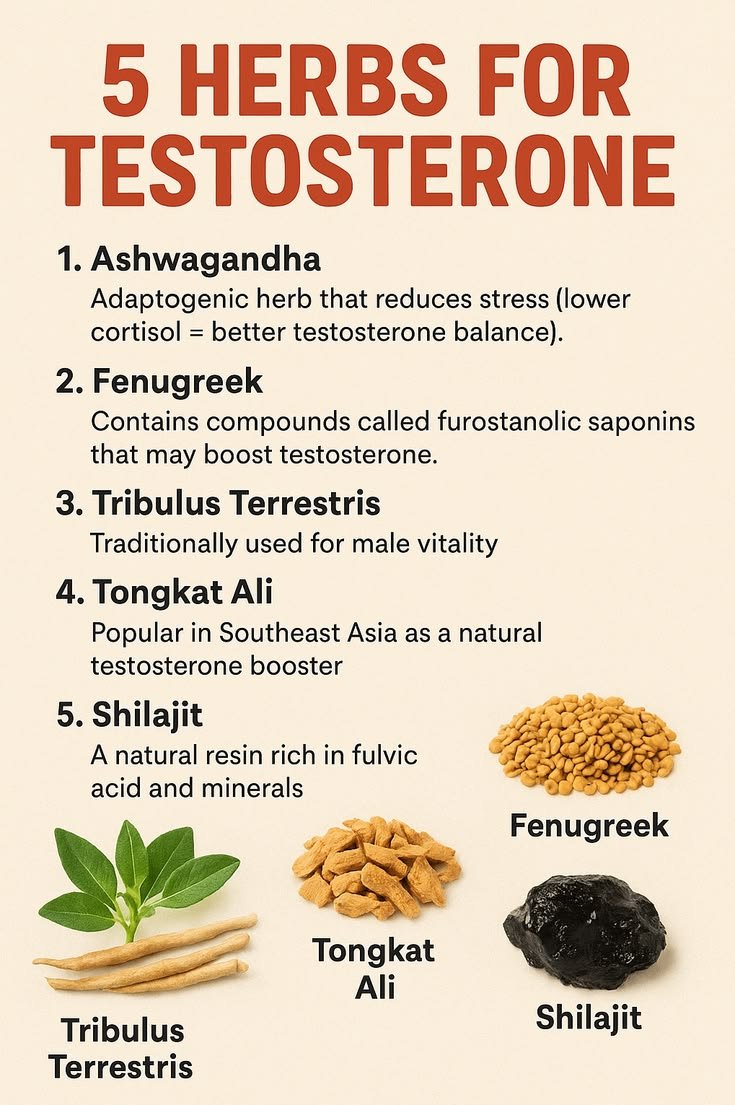 Masculine Health Talk. tweet media