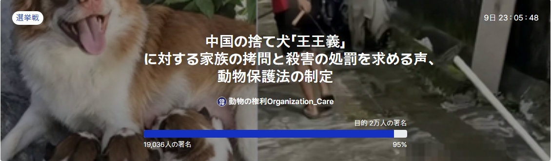 280922michi_12's tweet photo. 韓国のオンライン署名です
1. 加害者を厳しく罰すること。
未成年というだけで極めて残酷な犯罪を容認すれば、暴力に麻痺した危険な未来世代に
直面するでしょう。
2. 直ちに動物保護法を制定してください。
厳しい処罰を認める法律を通じて、法的基盤を確立してください

https://t.co/5Mvg4bY3sW https://t.co/k1aCuqSaEU