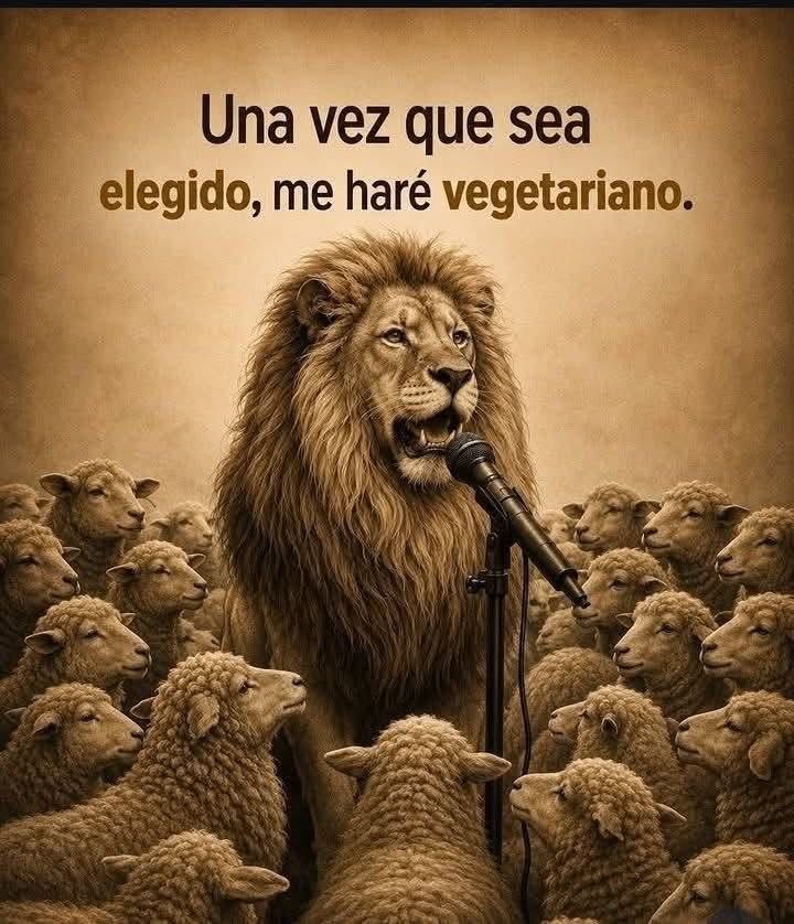 BarrancoAnaya's tweet photo. El empresario que se anda promocionando para la candidatura de presidente de México. https://t.co/M1uVMcf4bf