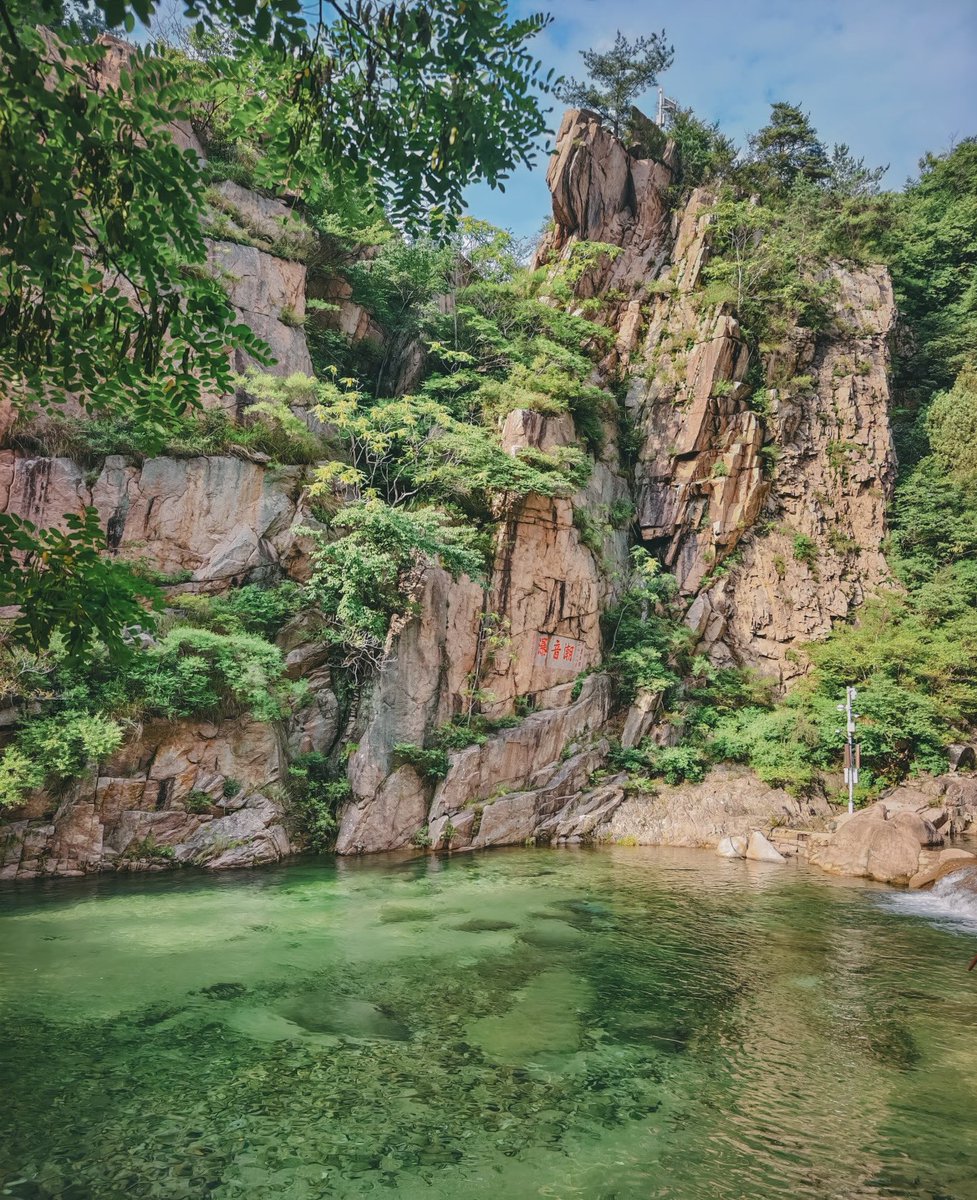 HiQingdao's tweet photo. 青岛|很难��为这一潭青绿而心动 https://t.co/wKEhhgPvpA