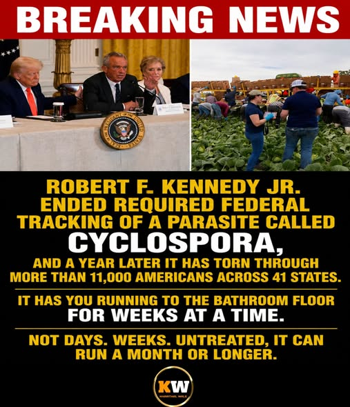 bradgies's tweet photo. Everything  this corrupt, incompetent administration does comes back to haunt everyday Americans. 

Republicans have to go.... NOW!!! https://t.co/ouqtrqx1Vs