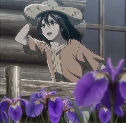 Grace// love Mikasa tweet media