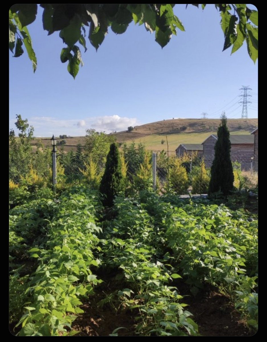Cagatay_85's tweet photo. @imlemhaber Köy tarlalarımız vatan toprağı. 3194 engeli kalkmalı, mağdurlar rahat nefes almalı. #YapıKayıtMeclise BahçemeDokunma #KademeliEmeklilik #pazartesi #FileninSultanları @_cevdetyilmaz @murat_kurum @ibrahimyumakli https://t.co/R77uNcf9FX