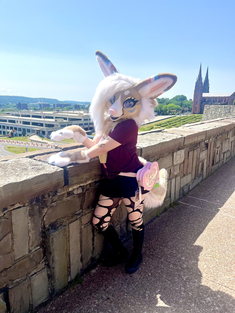 Aoife Fennec tweet media
