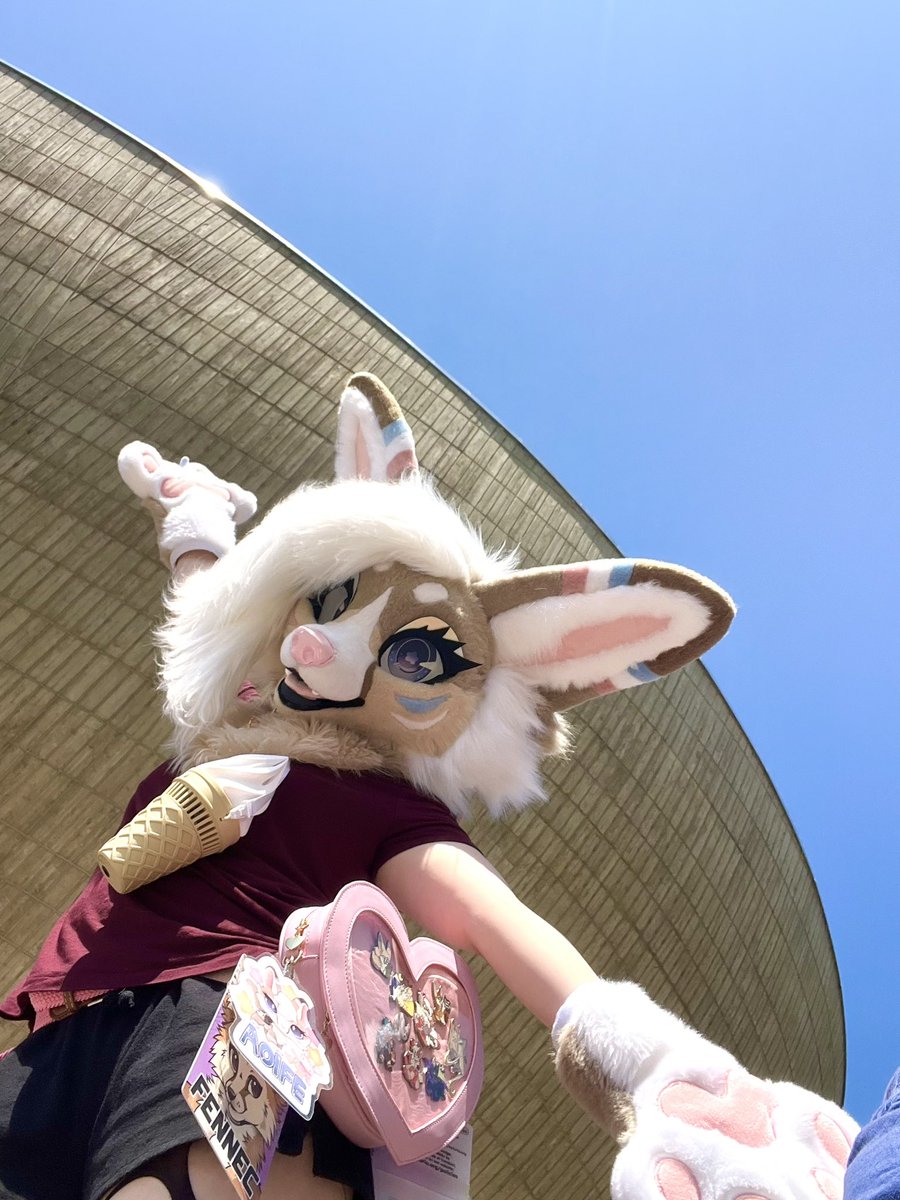 Aoife Fennec tweet media