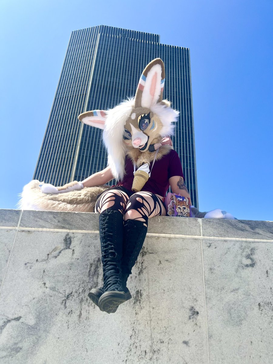 Aoife Fennec tweet media