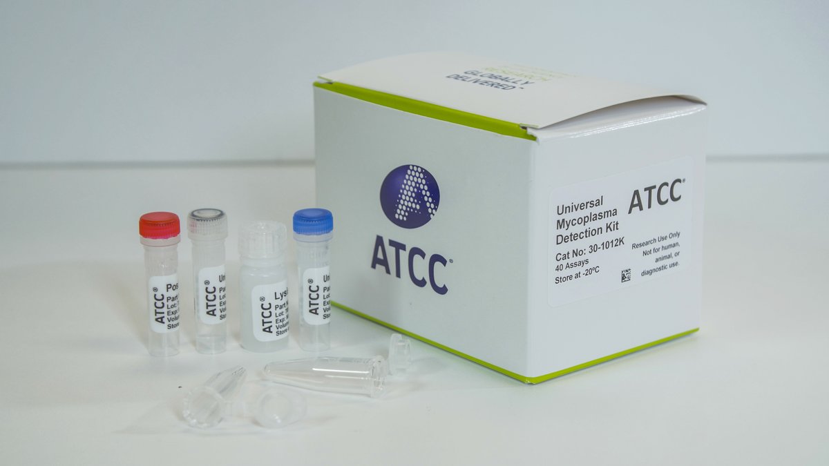 officialatcc's tweet photo. Don’t miss out on last-minute savings! Get 30% off the ATCC Universal Mycoplasma Detection Kit before this offer ends on July 31.

Get more details on the promotion: https://t.co/fpVBRXOf5Q https://t.co/BEh0f2mKcu