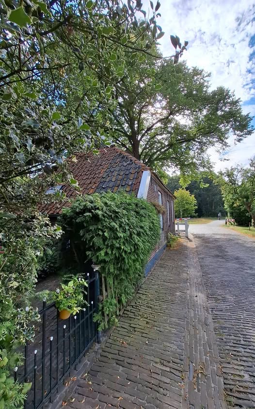 MeppelNu's tweet photo. RAAD WAAR IE STAAT: Wie o wie?

Foto : Jet Brand ©

Zie voor meer foto's mijn Facebookpagina : Meppel Nu https://t.co/irVFdIAqjb