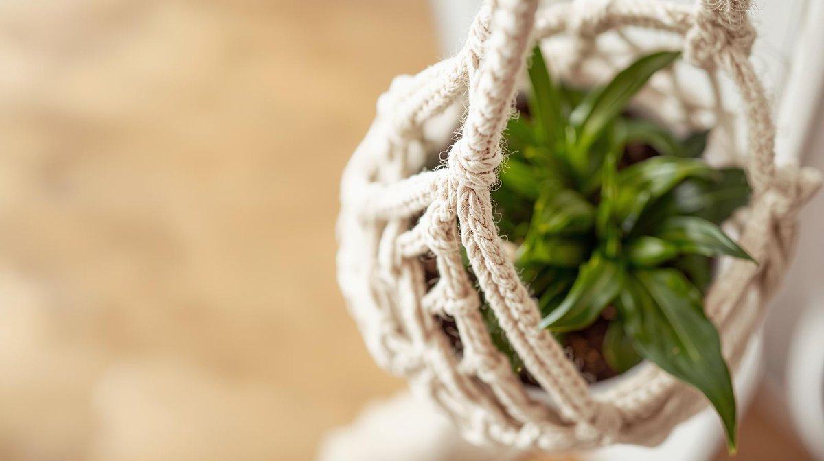 LesleyLambert's tweet photo. Love macrame? 

Macrame is all the rage these days, and rightfully so. 👌

Make this macrame plant hanger to upgrade the way you display your plants!

#Gardening #Gardening101 #GardeningTips #Macrame
 https://t.co/ZPpPCbiy4x https://t.co/FPr3Q5jRre