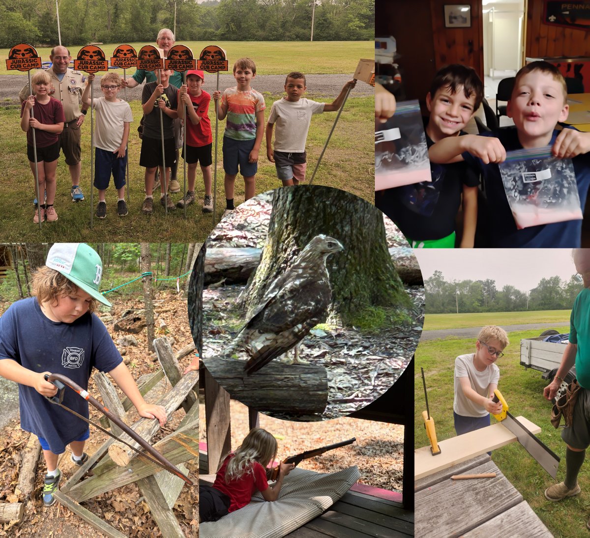 scouting_boston's tweet photo. Every week at camp is filled with new adventures, new friendships, and unforgettable memories. From archery and nature exploration to campfires and team challenges, our Scouts are making this summer one to remember!

📸 Check out some of this week's favorite moments!

#SummerCamp #AdventureStartsHere #ScoutingBoston