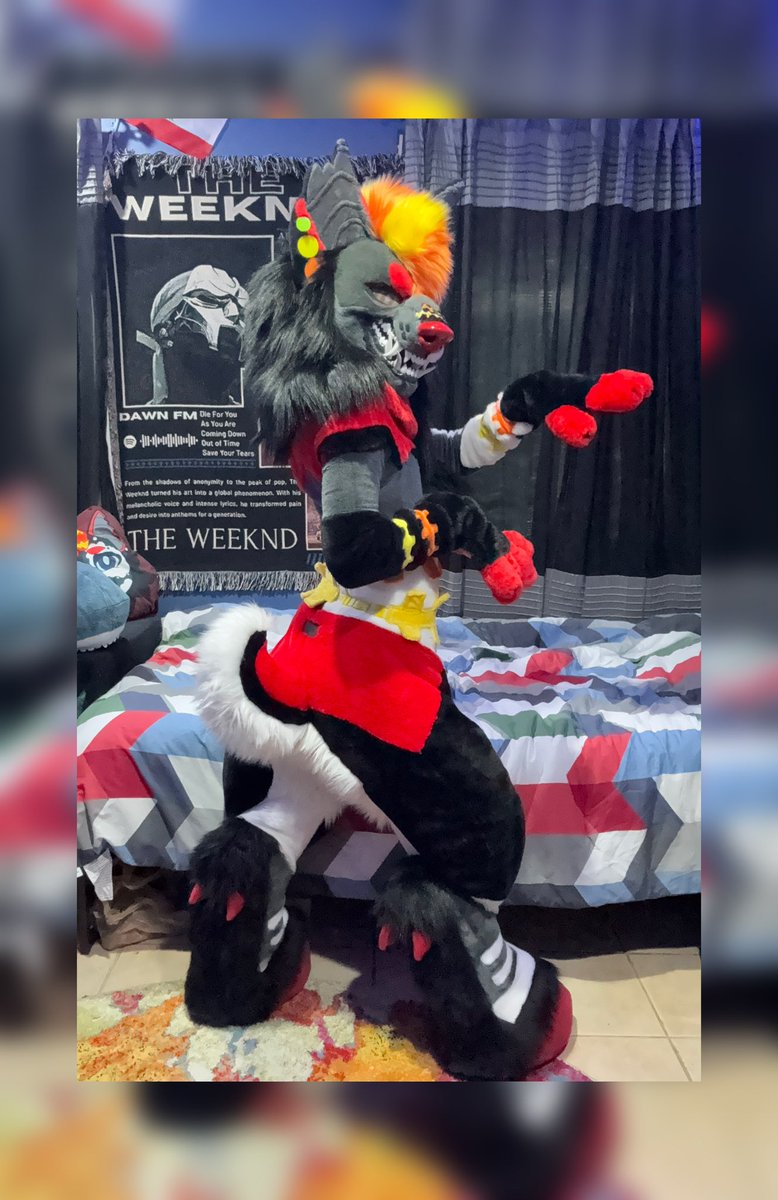 Dice_Hybrids's tweet photo. New and improved, Adam. Welcome back, king 👑✨ updated by @Furfuresh Thank you ❤️🙏🏻

🧿🪬🖤🧿🪬🖤🧿🪬🖤
#furry #fursuiting #furries #fur #furrys #furrycommunity #furriesunite #fursona #furryfandom #furryart #fursuitmaker #fursuit #fursuiter #fursuitbase #fursuitpics https://t.co/cN01mkWQRE