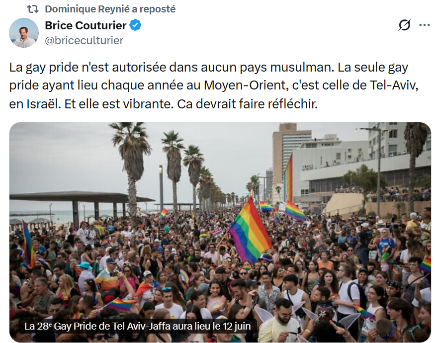 R_DeCastelnau's tweet photo. Brice Couturier est un imbécile, ça n’est pas un scoop. Mais il fait de la Gay Pride l’alpha et l’oméga de la civilisation. Et ça c’est intéressant.
Parce que l’autre face de la Gay Pride, c’est le génocide du peuple palestinien. Et pas seulement pour Israël, mais pour tout l’Occident qui soutient le génocide.
Apartheid et massacre en Cisjordanie ? Pas grave, il y a une Gay Pride à Tel-Aviv. Destruction de Gaza de fond en comble ? Pas grave il y a une Gay Pride à Tel-Aviv. Massacre de près de 30 000 enfants à Gaza ? Pas grave il y a une Gay Pride Tel-Aviv. Destruction méthodique du Sud Liban et en particulier des villages chrétiens ? Pas grave il y a une Gay Pride à Tel-Aviv. Massacre de 140 fillettes à Téhéran ? Pas grave il y a une Gay Pride Tel-Aviv. Discours racistes et violents de ministres israéliens avec rétablissement de la peine de mort pour les seuls palestiniens ? Pas grave il y a une Gay Pride Tel-Aviv. Ad libitum…
C’est vrai, il n’y a pas de Gay Pride dans les pays musulmans au Moyen-Orient. Mais il n’y a pas de génocide non plus.
Le reste du monde voit tout cela et trouve que ça fait « réfléchir ». Et c’est pour cela qu’il nous vomit.