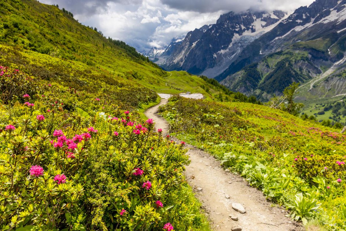 Martinscampshop's tweet photo. Every winding trail through a meadow offers another chance to slow down and enjoy the beauty around you. ๐ฅพ
https://t.co/VqCi0ZiBNH
#TrailLife #WildflowerTrail #HikingAdventure #OutdoorLife #NatureEscape #ExploreNature #StayOutside #AdventureAwaits #MountainViews #GoExplore https://t.co/x2BUCp5WLC