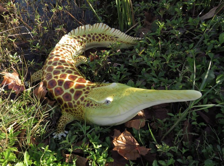 natural77384672's tweet photo. A model of an Aphaneramma, an extinct marine amphibian. https://t.co/T79kFV9N3G