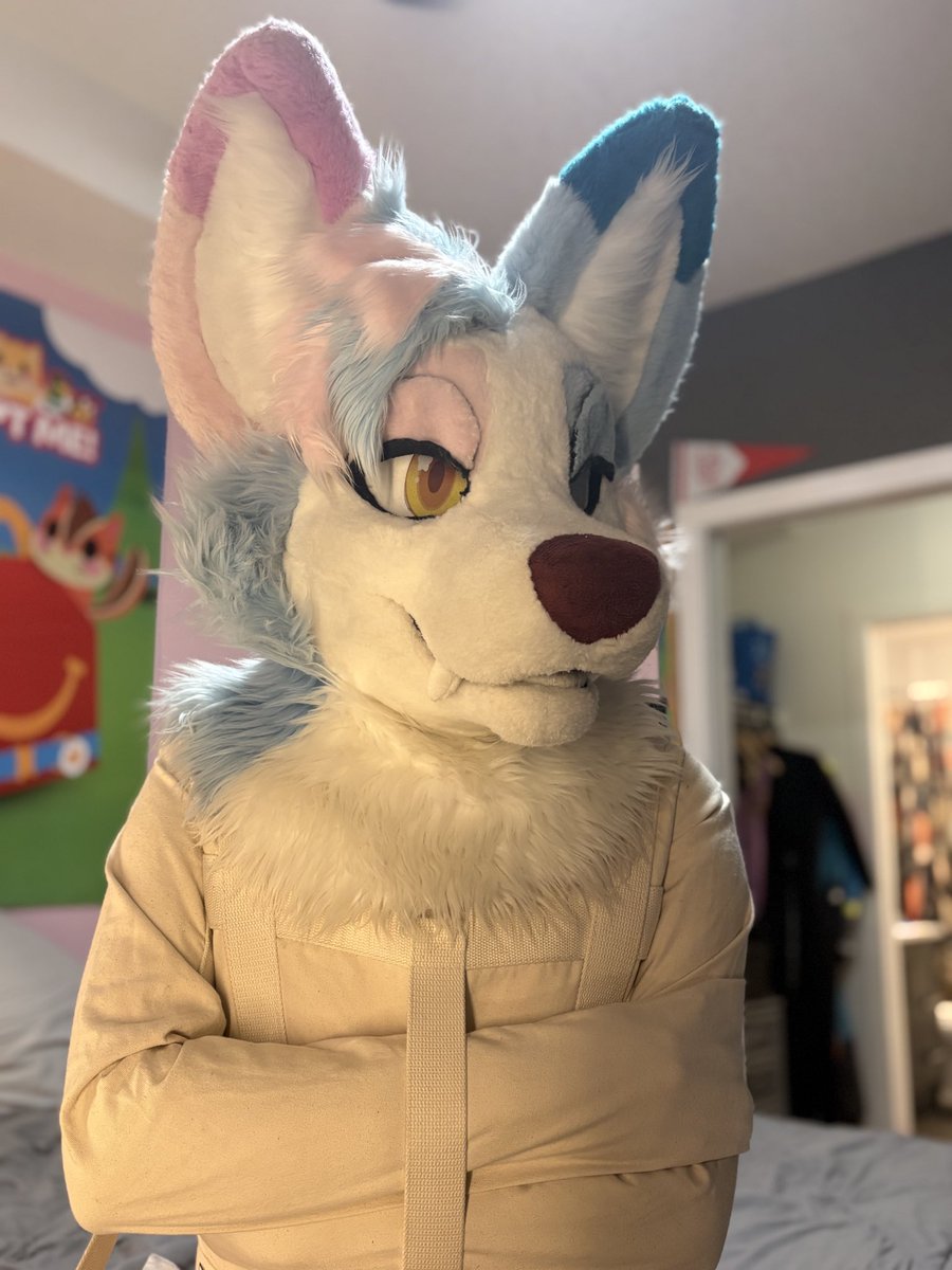 echofops's tweet photo. keep your foxes secured >;3 https://t.co/DgzS9hZNde