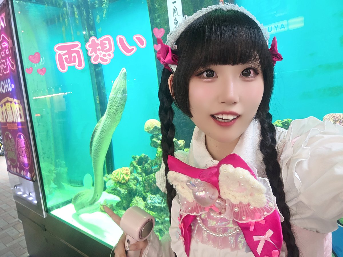 coisigani's tweet photo. ドン・キホーテ梅田本店さん前初出演❗本当に暑い中ありがとう‼️
駆けつけてくれたみんなにも通りがかってくれた方々にもライブ見てもらえて本当に嬉しかったです😭
通る度に挨拶してるお魚さんたちも歌聴いてくれたかな🐟♡ こいしの推しはウツボちゃん♡
次回ライブは来月！告知をお待ちください！🙇‍♂️ https://t.co/CwvDg0ihyh