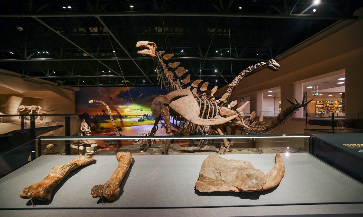 globaltimesnews's tweet photo. Asia’s first specialized #dinosaur museum has reopened in Zigong, Southwest China’s Sichuan Province. After more than a year of renovation, it offers visitors a “real-life #JurassicPark” experience with interactive displays, restored dinosaur scenes and newly unveiled fossil specimens.
https://t.co/tRGIM1kv88
