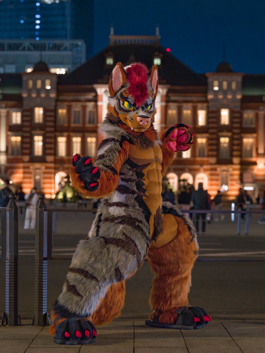 run_charizard's tweet photo. On a Night in Tokyo https://t.co/DlllWN7qK8