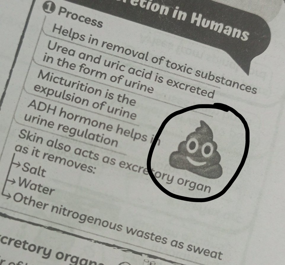 _MyBangtan7's tweet photo. Yo I found kpoopies in my Biology book! https://t.co/0KvMEzf3xO