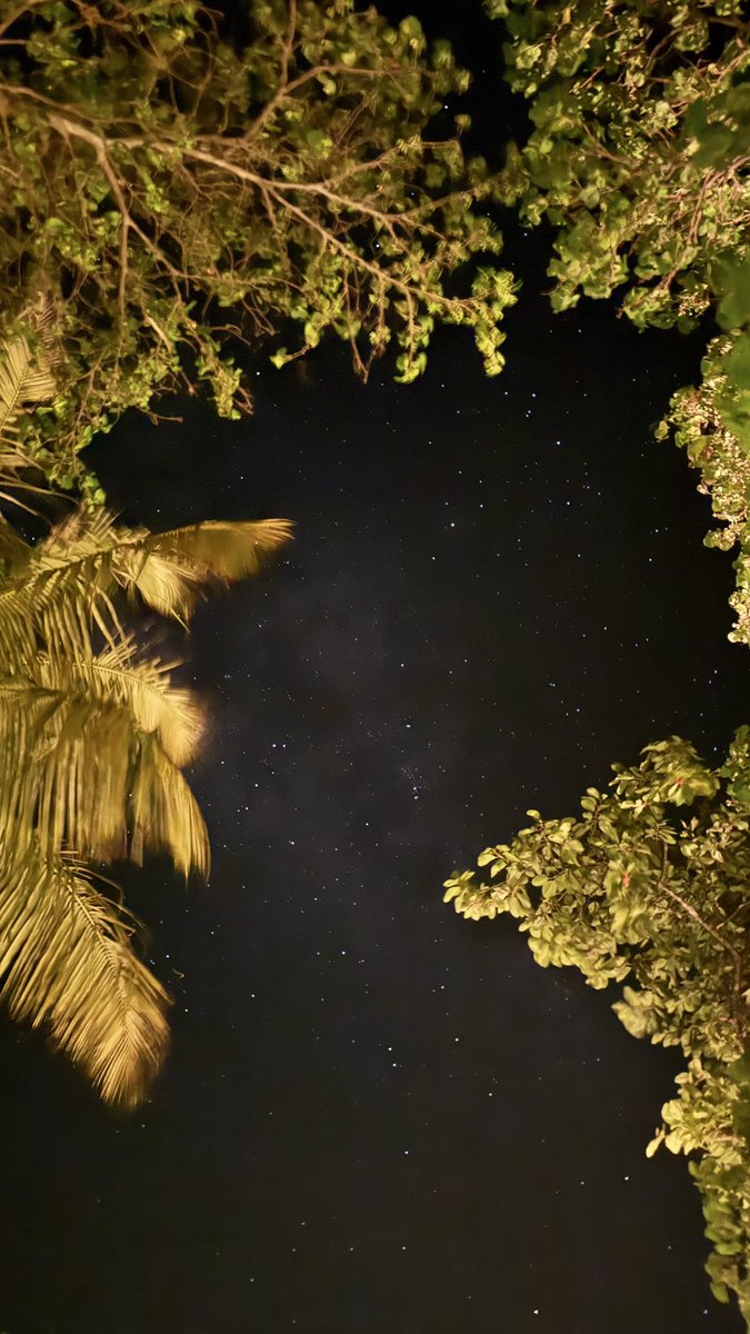 ReemaAwad_k's tweet photo. “ Summer nights , Mid july “  
Maldives 🏝️ https://t.co/4Cqs0h9xBr