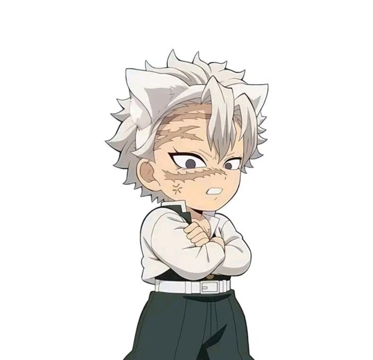 blo0dy_rose's tweet photo. The cutest Sanemi chibi official art ♡ https://t.co/6nLm85XJ4h