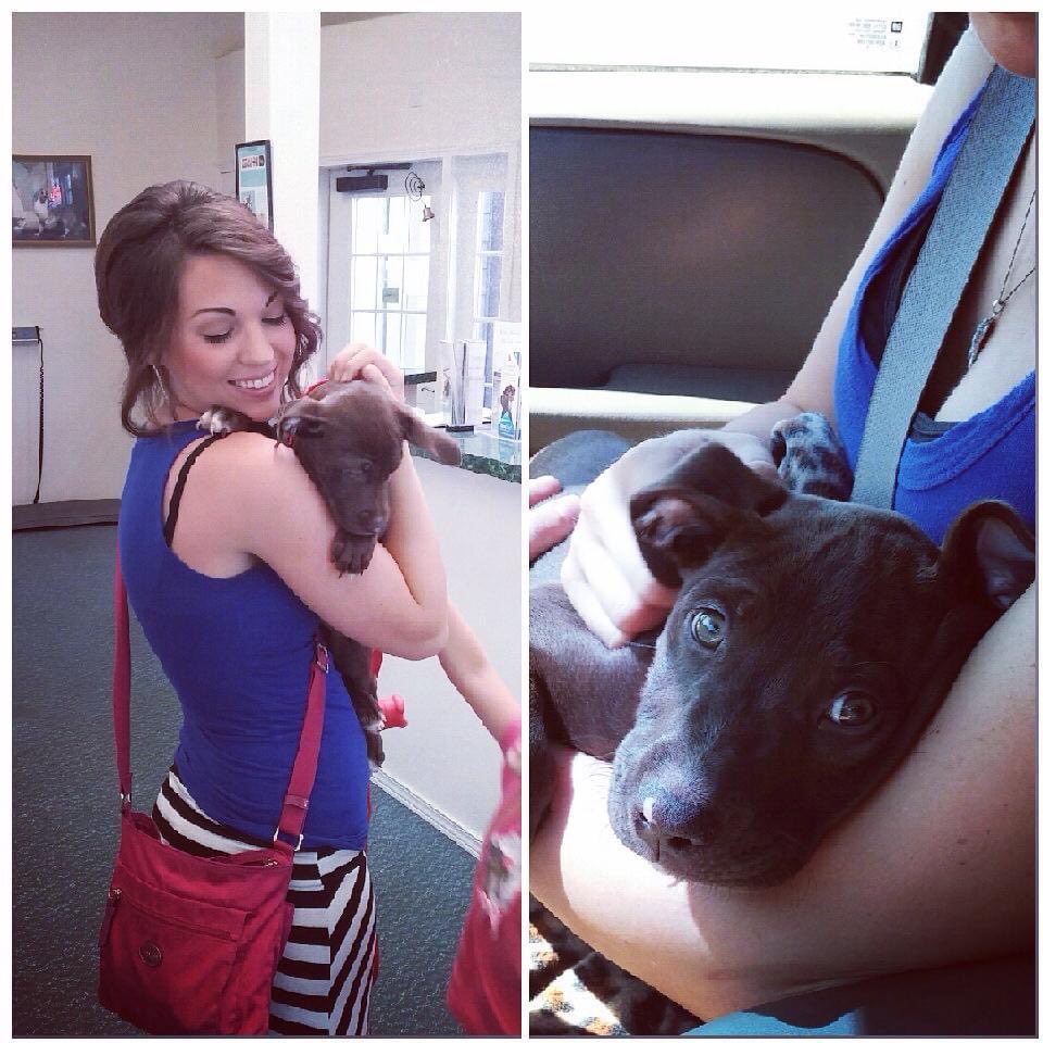 HistoryChick41's tweet photo. Two years ago today I lost the love of my life, my Lucy. I miss you so much baby girl. My Lucy Goosey. I love you forever. 
#dogmom https://t.co/UVbgcf0Vfq
