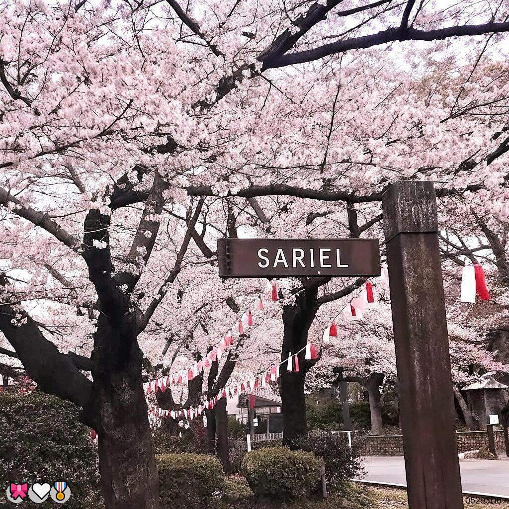 MiddletonL54922's tweet photo. 🤗语音做爱🍀女高💪女王💕萝莉💪约炮😎少妇😍每日大赛😁户外💪淫妻😃绿奴👍jk制服💖连麦👏乳交🍀陪玩👏反差女大学生🔥调教✨聊骚👏道具爆菊🌸母狗🥳萝莉

企鹅裙：1818089
X：@zhien52000
飞机：zuoyi1v1
裸聊/连麦/文爱/调教/寸止 https://t.co/yLmui8tGyM