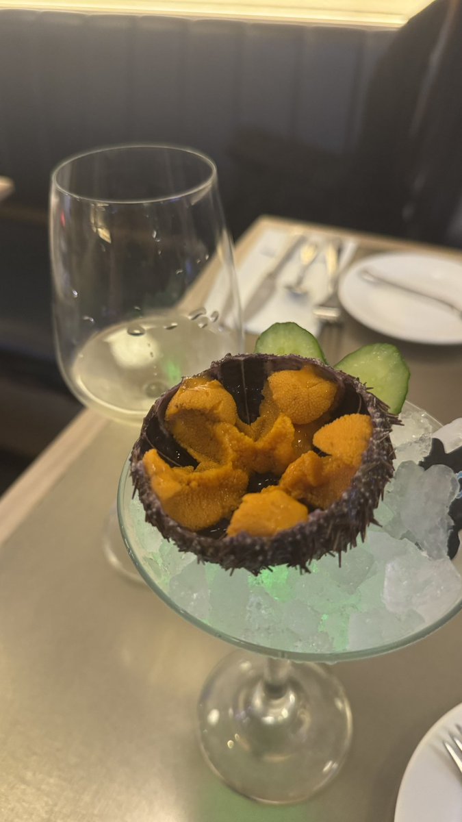 jounotakeuchi's tweet photo. 海鮮はダイエットに良いと聞きました
月曜夜happy hourワイン🍷
🦪牡蠣18個
ウニ1個

眠い💤

徹子コンサート、予約録画しました
明日見る https://t.co/8NdfXknbnK
