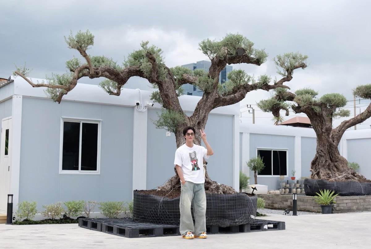 CChang20970's tweet photo. Olivetreebkk updated on their official website: "Khun Gemini, Congratulations on your new olive tree and welcome to our LPV Family" 

🌳🌳🥰🥰🥰 His Molly crocs too  🥰🥰🥰🥰

#Gemini_NT #เจมีไนน์ https://t.co/DFgNr6zWKs