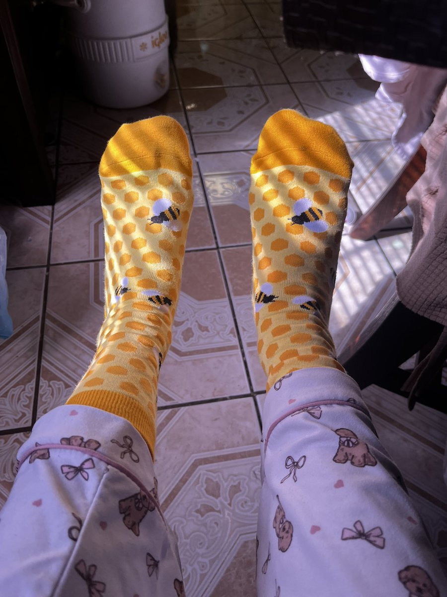 _Hassenn's tweet photo. Las medias de abejitas me las compro yooo https://t.co/0wa8JVrmXp