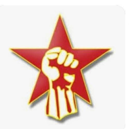 Nermin Tulic tweet media
