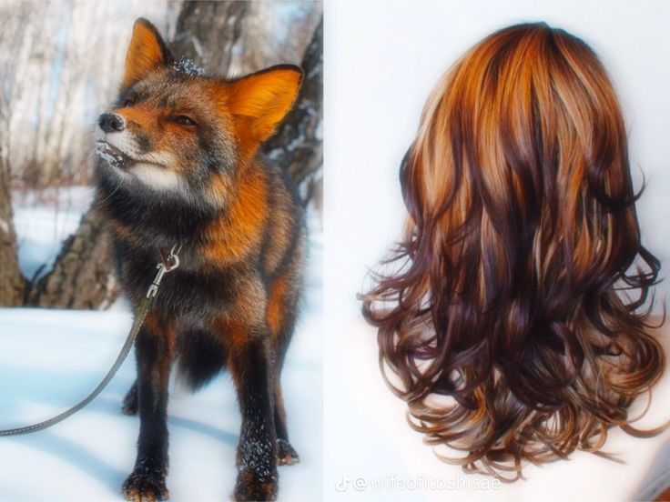 archivedlooks's tweet photo. Fox hair 🦊 https://t.co/PWxck5H4Xs