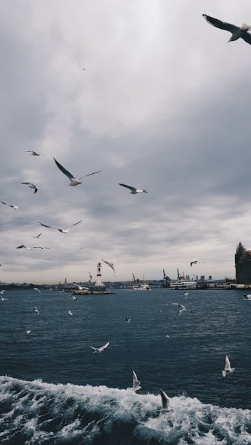FordKhaled35530's tweet photo. شكرا لكونك إلهام مستمر ، مصدر العاصفة. شكرا وإخوانه. كانت إرشادك منارة في يا أخي. dan mcgrotty😁 https://t.co/8PWMK5WN9p