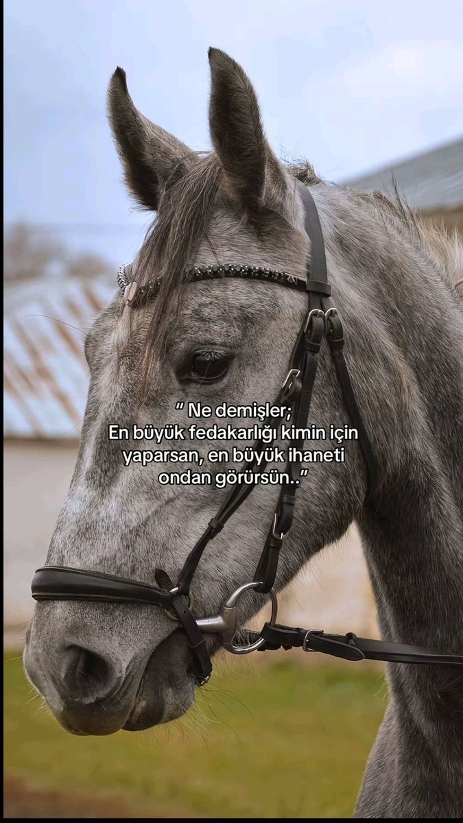 bosverselinn's tweet photo. https://t.co/raFTdx7nvs