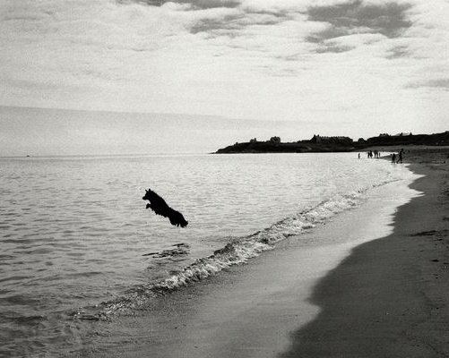 womensart1's tweet photo. From photographer Sirkka-Liisa Konttinen's 'Writing In The Sand' series, a celebration of the life of beaches in the North East of England, 1973-1998 #womensart https://t.co/Wswe0ZiF7W