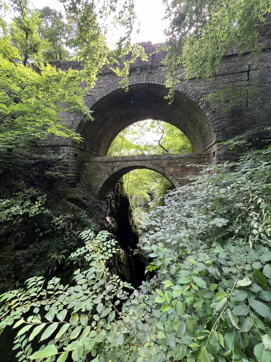 KinlochSusan's tweet photo. Rumbling bridge gorge #riverdevon #scotland #memories ๐ด๓ ง๓ ข๓ ณ๓ ฃ๓ ด๓ ฟ๐ณ https://t.co/4caGkAsgJ9