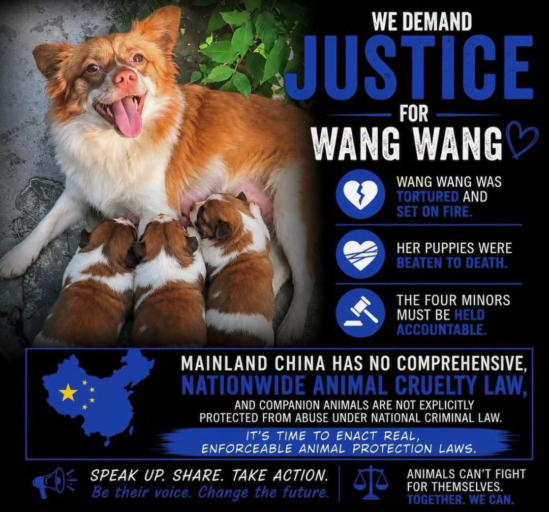 PROTECT ALL WILDLIFE tweet media