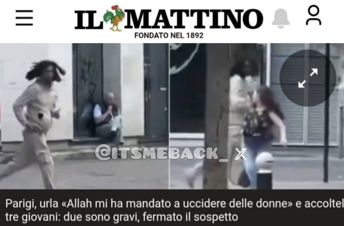 itsmeback_'s tweet photo. Giovy Novaro (@GiovyDean):

Ipotizziamo la religione non c'entri nulla come sostiene la "sinistra" o una grossa parte di essa e che si tratti effettivamente solo di gente mentalmente disturbata.
Come mai nessuno degli accoltellatori, quando viene fermato, dice "è stato Gesú ad ordinarmi di accoltellare quelle donne" o "è stato Poseidone"
o "Calipso"? La pazzia non dovrebbe essere distribuita fra religioni e divinità? La risposta è che ovviamente tutti sanno che l'unica religione di morte e discriminazione è l'Islam alla quale viene attribuita una distinzione tra "radicale" e "moderato" proprio per permettere al secondo dei due mondi di aggirare la verità con seconde vie e tesi menzognere quali "si tratta solo di gente mentalmente disturbata e la religione non c'entra". Nessuno, a Parigi, guardando quell'uomo con una lama in mano inseguire donne per strada, ha pensato "sicuramente è un cattolico".
La verità è sempre una ed il pubblico si divide tra le persone normali che la evidenziano e i disturbati mentali o i conniventi dei criminali che la nascondono.
Il fatto che ciò che comunemente consideriamo "destra", tendenzialmente, non appartenga alla sopravvivenza citata seconda categoria è la ragione principale per cui il male arriva sempre dalla medesima sorgente.