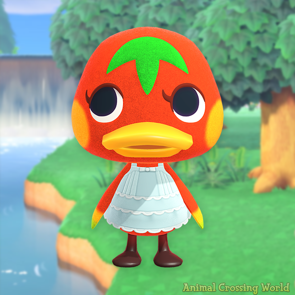 ACWorldBlog's tweet photo. Happy Birthday to Ketchup! 🎉🦆 https://t.co/E7cx4idB7o