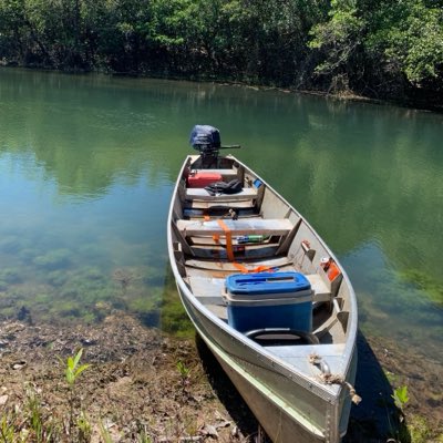 opropriotrader's tweet photo. #NovaFotoDePerfil https://t.co/NZLngXerHt