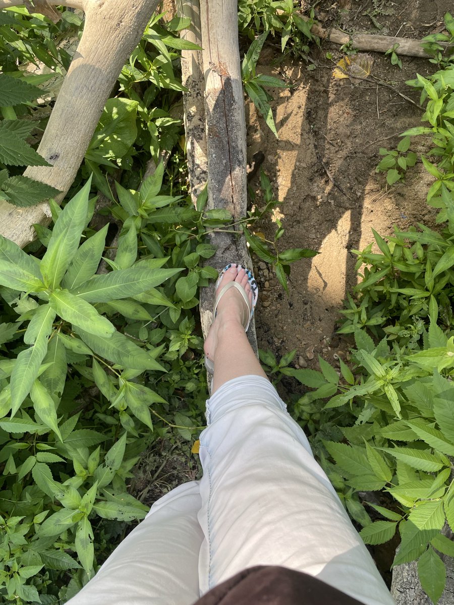Cozyteddy20's tweet photo. Allez, fin de la balade, on rentre au calme après cette belle après-midi. Mes petits pieds ont bien marché aujourd'hui, il est temps de se reposer. 🌿👣🏠 #feet #feetcontent #feetfetish #feetforsale #pieds #soles #feetpics https://t.co/1zGiqPYWik