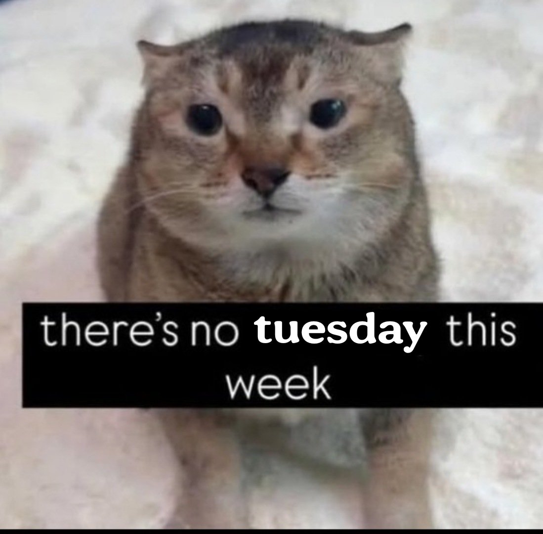 the47cat's tweet photo. https://t.co/rH4byJaPtU