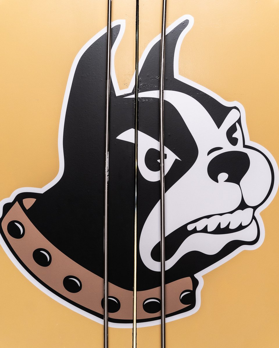 WoffordVB's tweet photo. 𝗙𝗮𝗰𝗶𝗹𝗶𝘁𝘆 𝘂𝗽𝗴𝗿𝗮𝗱𝗲𝘀📈

#ConquerandPrevail #ForTheW https://t.co/dyLK5oAYSy