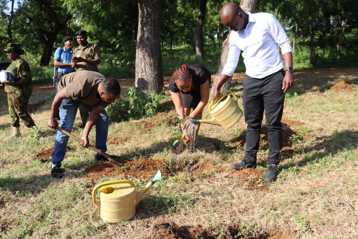 NGECKenya's tweet photo. We've wrapped up a busy day of engagements in Kilifi County with a tree planting exercise at Kilifi GK Prison led by Commission Secretary/CEO Dr. Purity Ngina. The initiative formed part of the Commission's corporate social responsibility programme and reaffirmed its commitment to environmental conservation, climate resilience and sustainable development through collective action. @puritynginaa @PrisonsKe