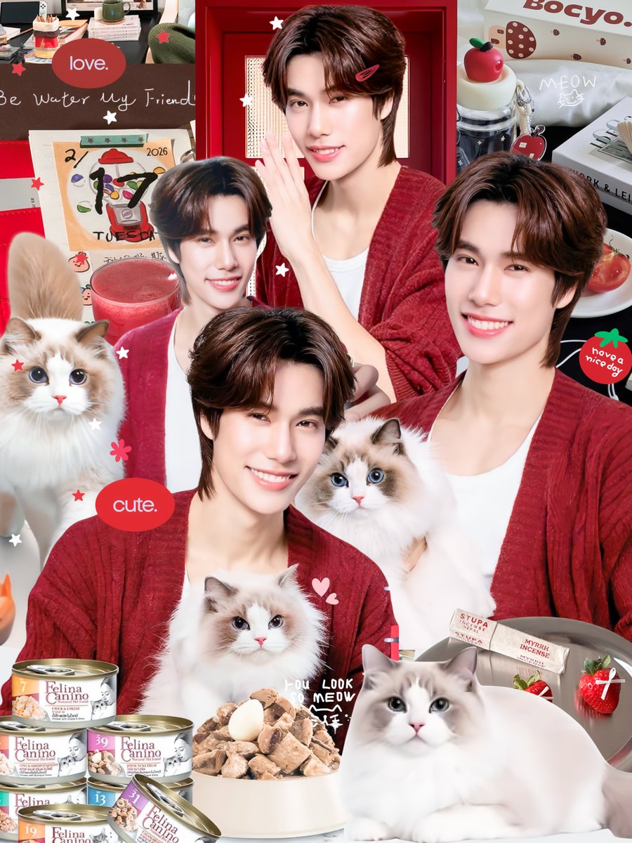 bloomingsummers's tweet photo. hanaphuphu 🐈🍰 ☆

PHUWIN FELINA CANINO BA
#FelinaCaninoXPhuwin #phuwintang https://t.co/zwJSBRPfQ6