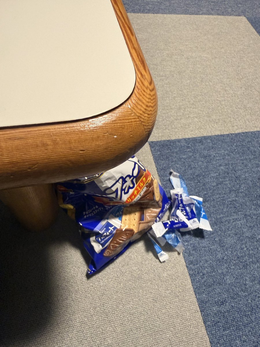 kotihora_tokki's tweet photo. ゴミ箱までの距離が遠くて
捨てに行けない。
食べて身体重くなったから
動けない😊👍 https://t.co/YT285GUJac
